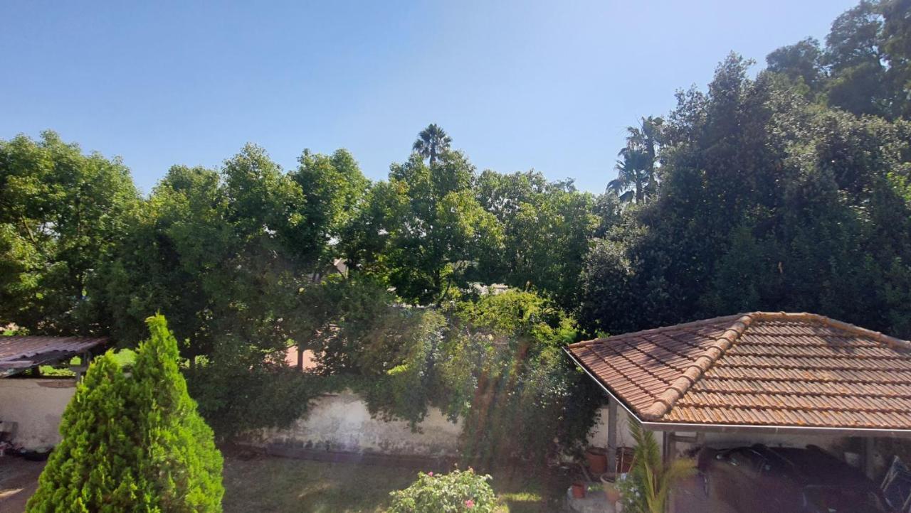 B&B Tenuta Di Vado Piano Nella Selva Di Circe Cerasella ภายนอก รูปภาพ